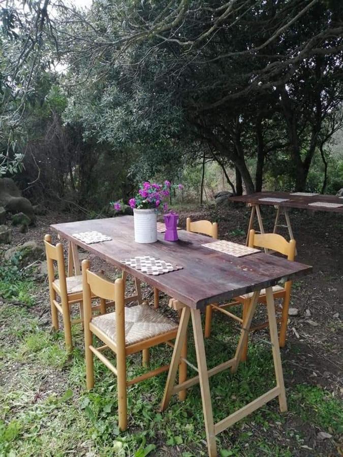 Eucaliptus Farm Retreat Santa Teresa Gallura Exterior foto