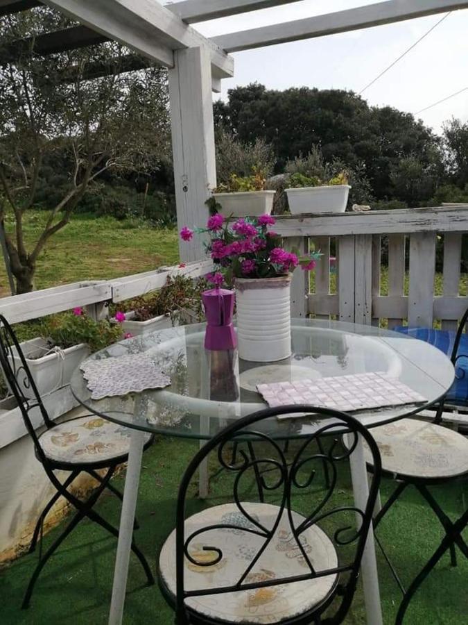 Eucaliptus Farm Retreat Santa Teresa Gallura Exterior foto