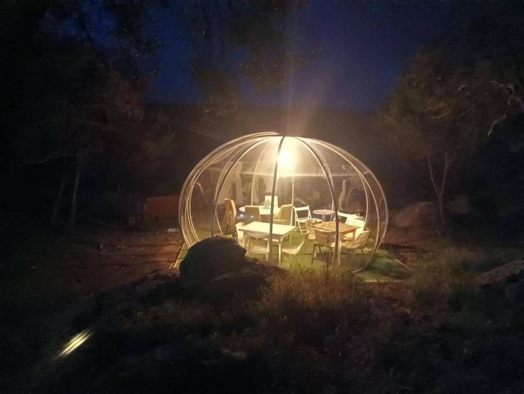 Eucaliptus Farm Retreat Santa Teresa Gallura Exterior foto