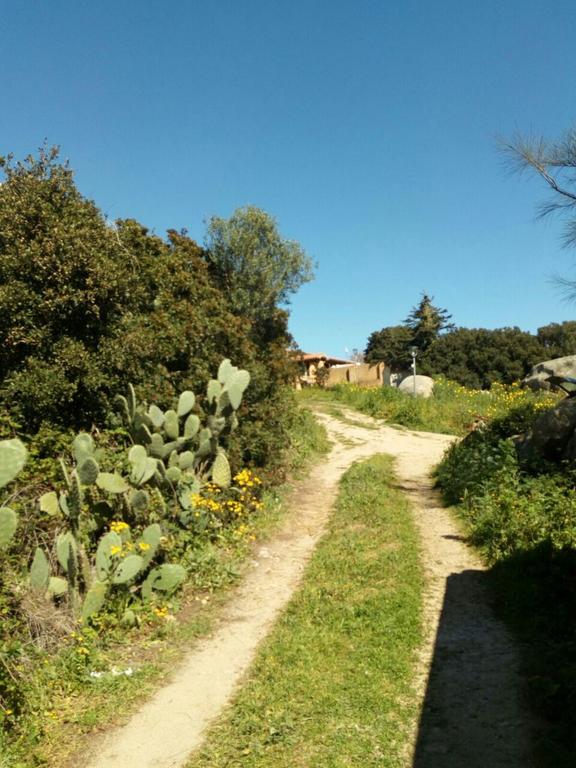 Eucaliptus Farm Retreat Santa Teresa Gallura Exterior foto