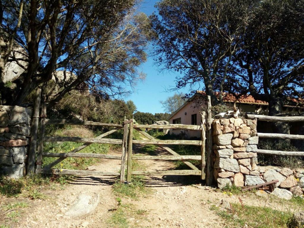Eucaliptus Farm Retreat Santa Teresa Gallura Exterior foto