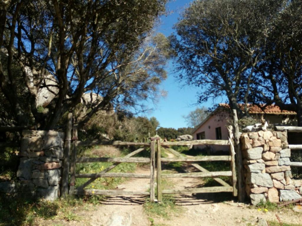 Eucaliptus Farm Retreat Santa Teresa Gallura Exterior foto