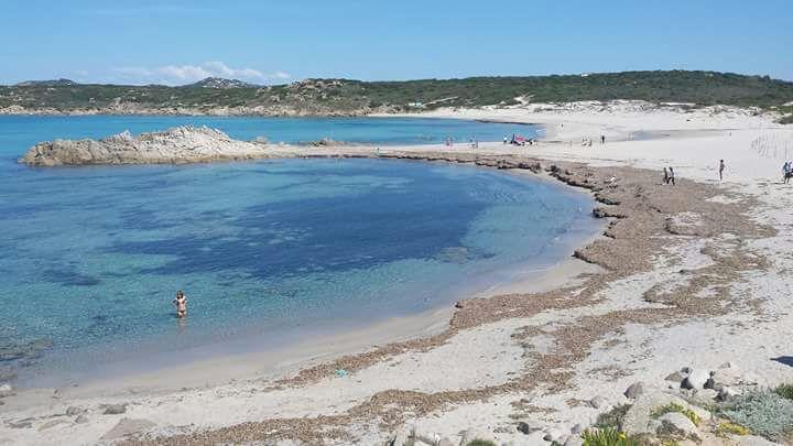 Eucaliptus Farm Retreat Santa Teresa Gallura Exterior foto