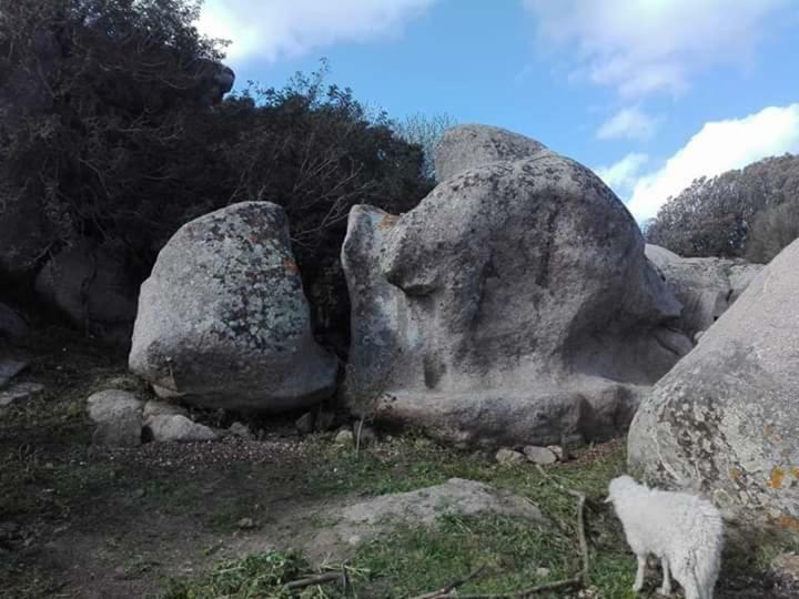 Eucaliptus Farm Retreat Santa Teresa Gallura Exterior foto
