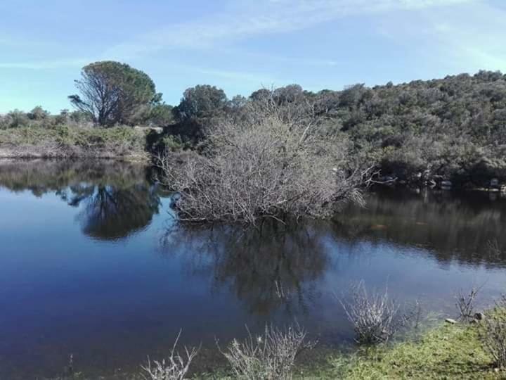 Eucaliptus Farm Retreat Santa Teresa Gallura Exterior foto
