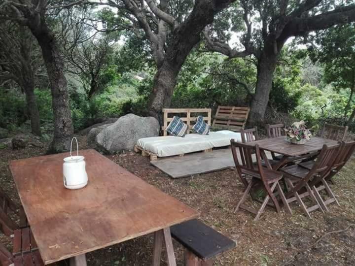 Eucaliptus Farm Retreat Santa Teresa Gallura Exterior foto